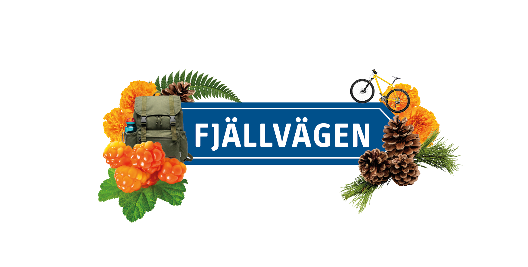 Text på bild